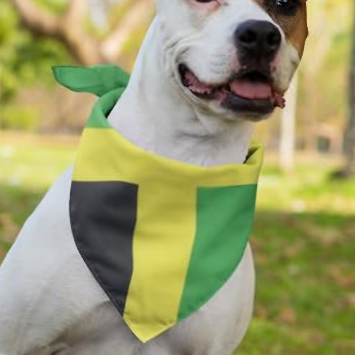 Jamaican Flag Bandana