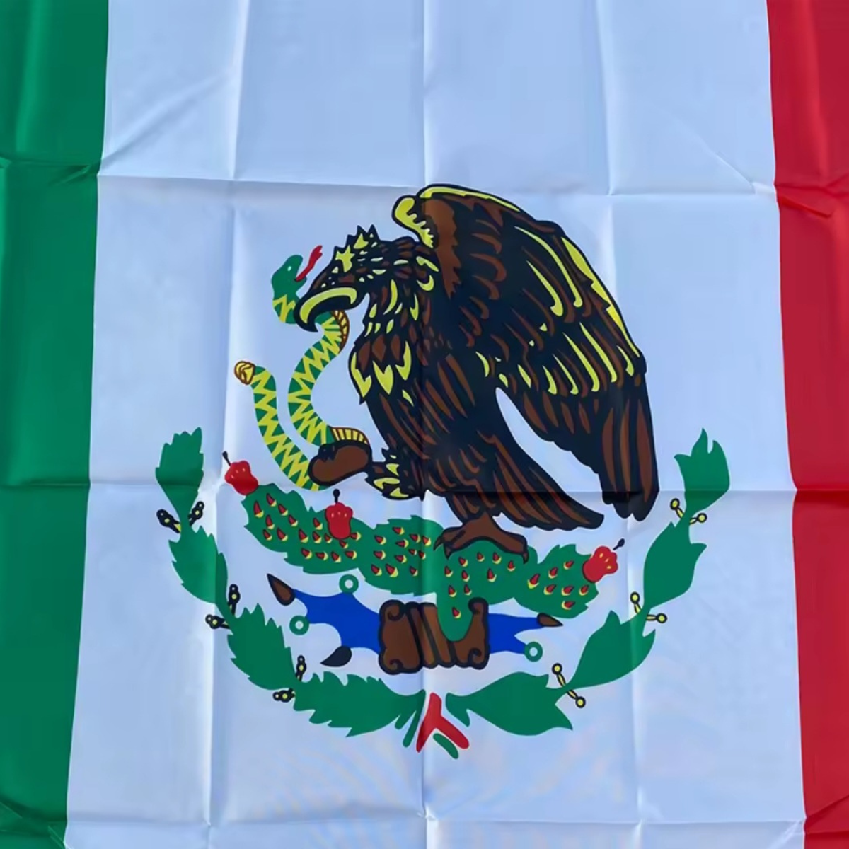 Mexican Flag Big