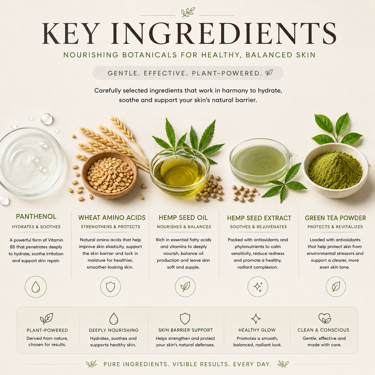 An infographic titled 'KEY INGREDIENTS' for a botanical skincare product, showing ingredient photos and descriptions for panthenol, wheat amino acids, hemp seed oil, hemp seed extract, and green tea powder on a light beige background.
