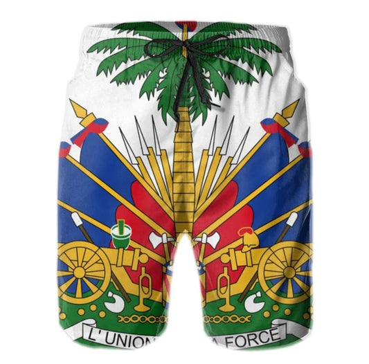 White 3D Print Men's Haiti Flag Shorts