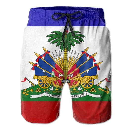 Blue, White & Red 3D Print Men's Haiti Flag Shorts